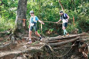 BIB: 
                            <button type="button" onclick="openModal(27554814)" class="btn btn-primary btn-sm float-right btn-popup" data-toggle="modal" data-target=".modal-high-quality">
                        <i class="fas fa-shopping-cart"></i> Add to Cart
                    </button>
                                            <button type="button" onclick="isThisMe(27554814, true)" class="btn btn-success btn-sm float-right btn-popup btn-isme hidden" data-toggle="tooltip" data-placement="bottom" title="นี่คือรูปของคุณใช่ไหม คลิกที่นี่เพื่อเอาเข้าอัลบั้ม">
                        <i class="fas fa-plus"></i> Add to album
                    </button>
                    <button type="button" onclick="isThisMe(27554814, false)" class="btn btn-warning btn-sm float-right btn-popup btn-isnotme hidden">
                        <i class="fas fa-ban"></i> Remove from album
                    </button>